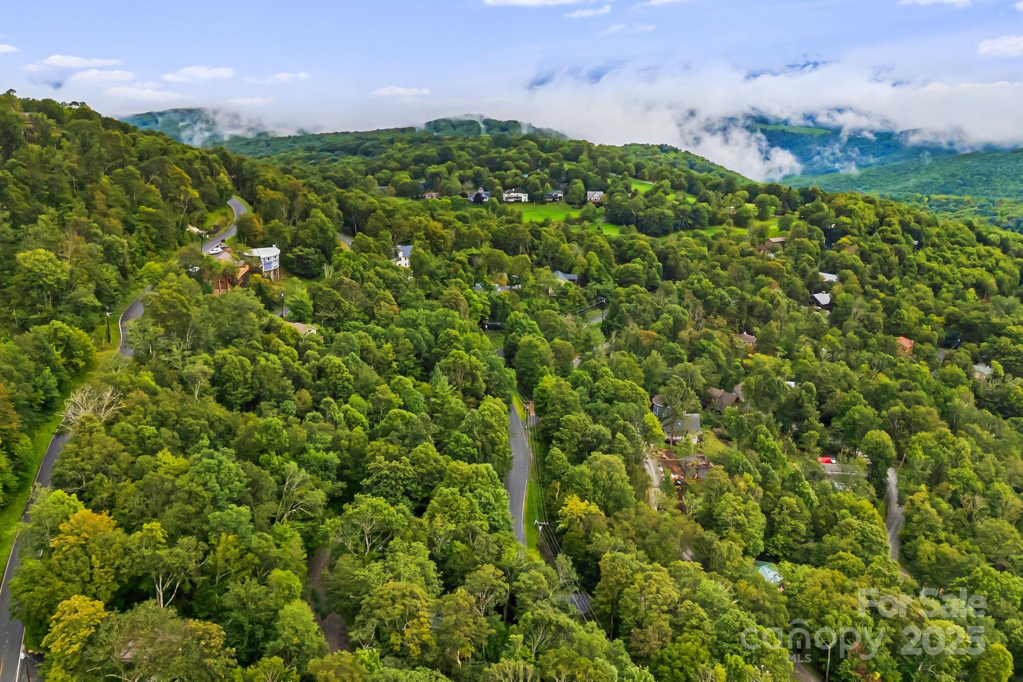 103 Maple Lane Beech Mountain NC 28604