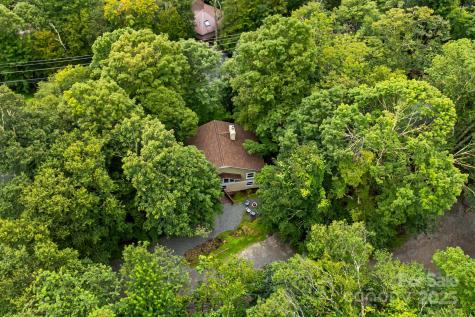103 Maple Lane Beech Mountain NC 28604