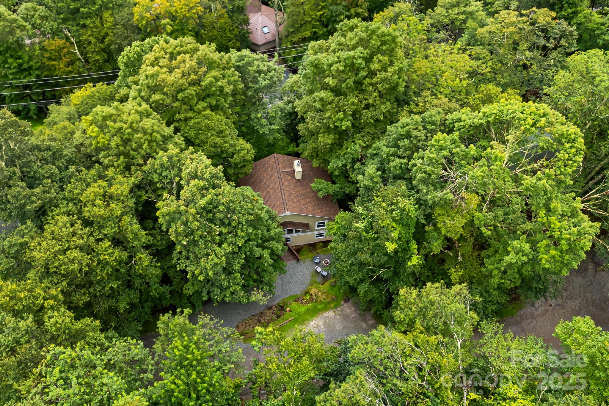 103 Maple Lane Beech Mountain NC 28604