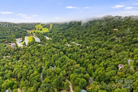 103 Maple Lane Beech Mountain NC 28604