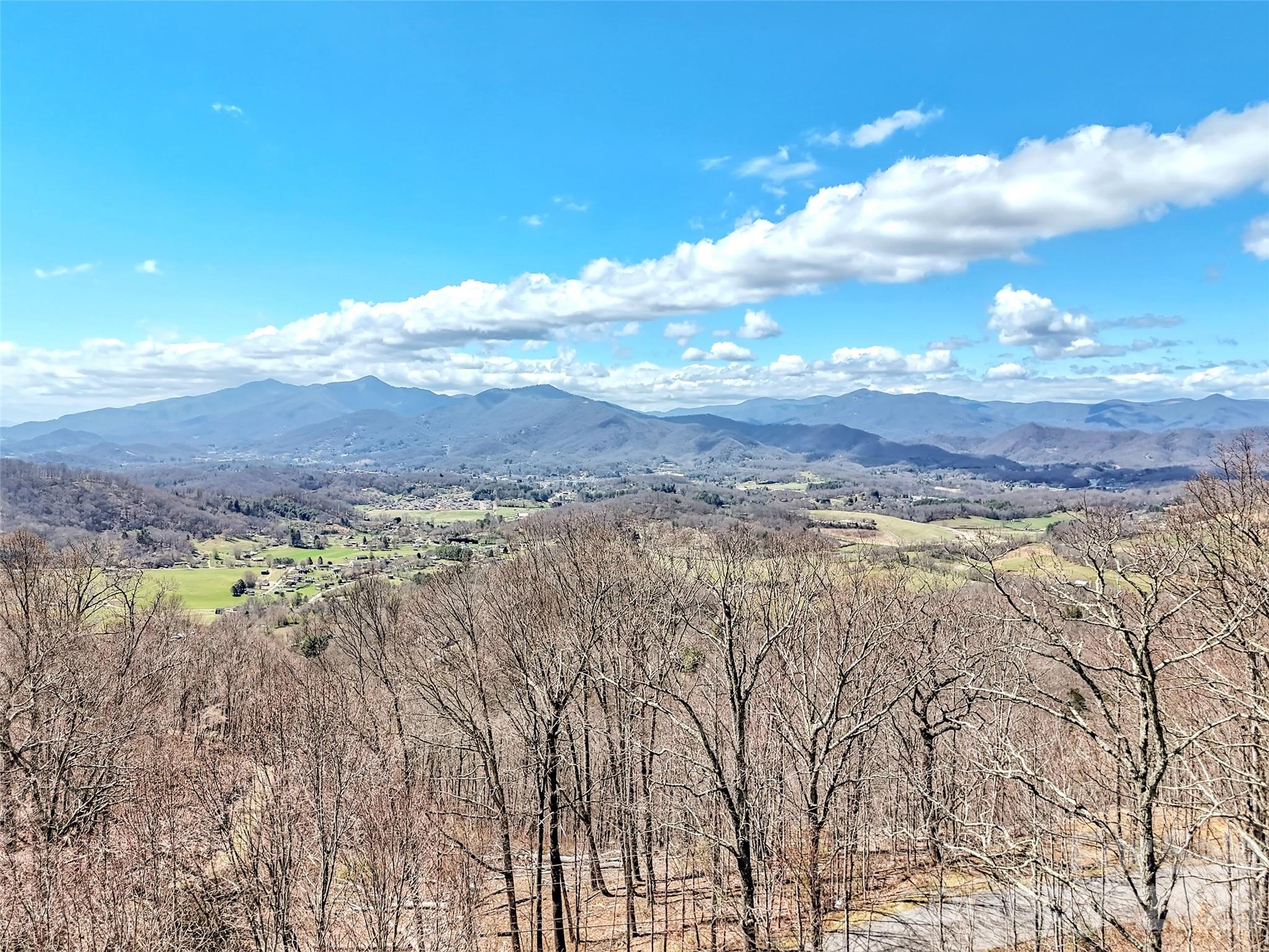 523 Brandywine Road Waynesville NC 28786