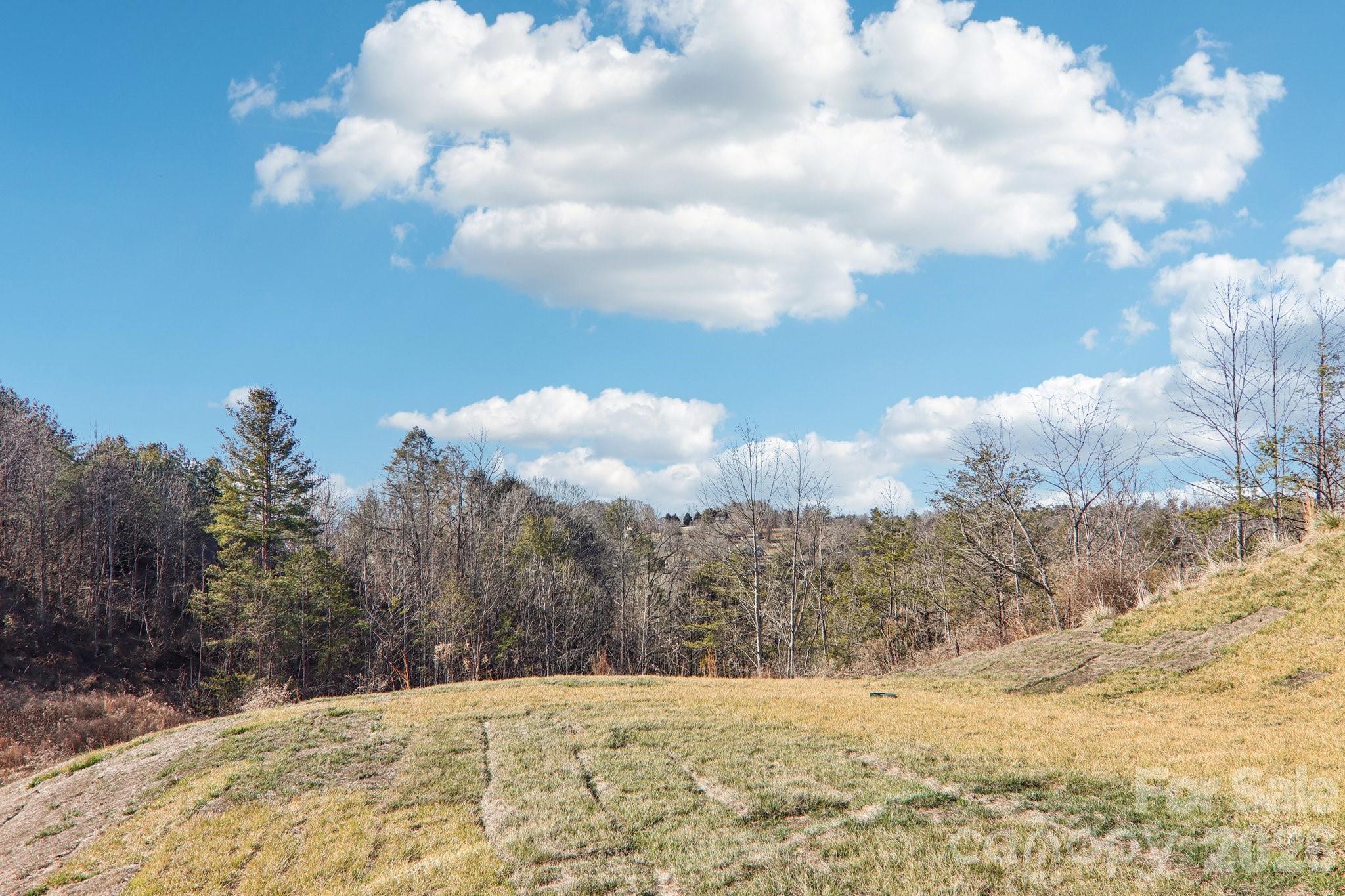 827 Adelston Lane Asheville NC 28804