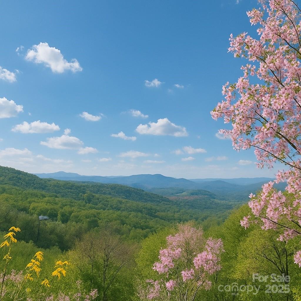 114 Spruce Hollow Road Beech Mountain NC 28604