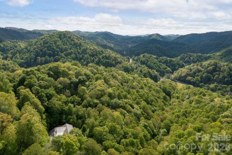 592 Susanna Cove Road Mars Hill NC 28754