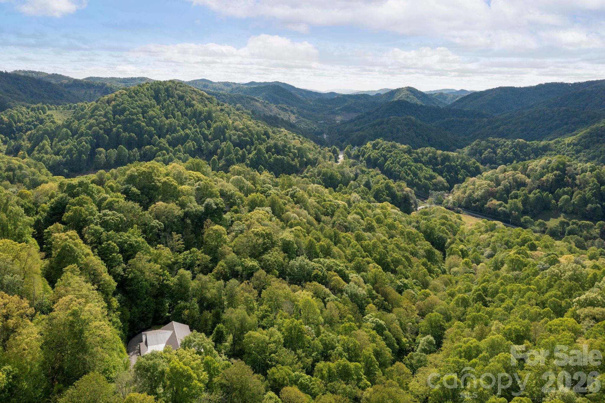 592 Susanna Cove Road Mars Hill NC 28754