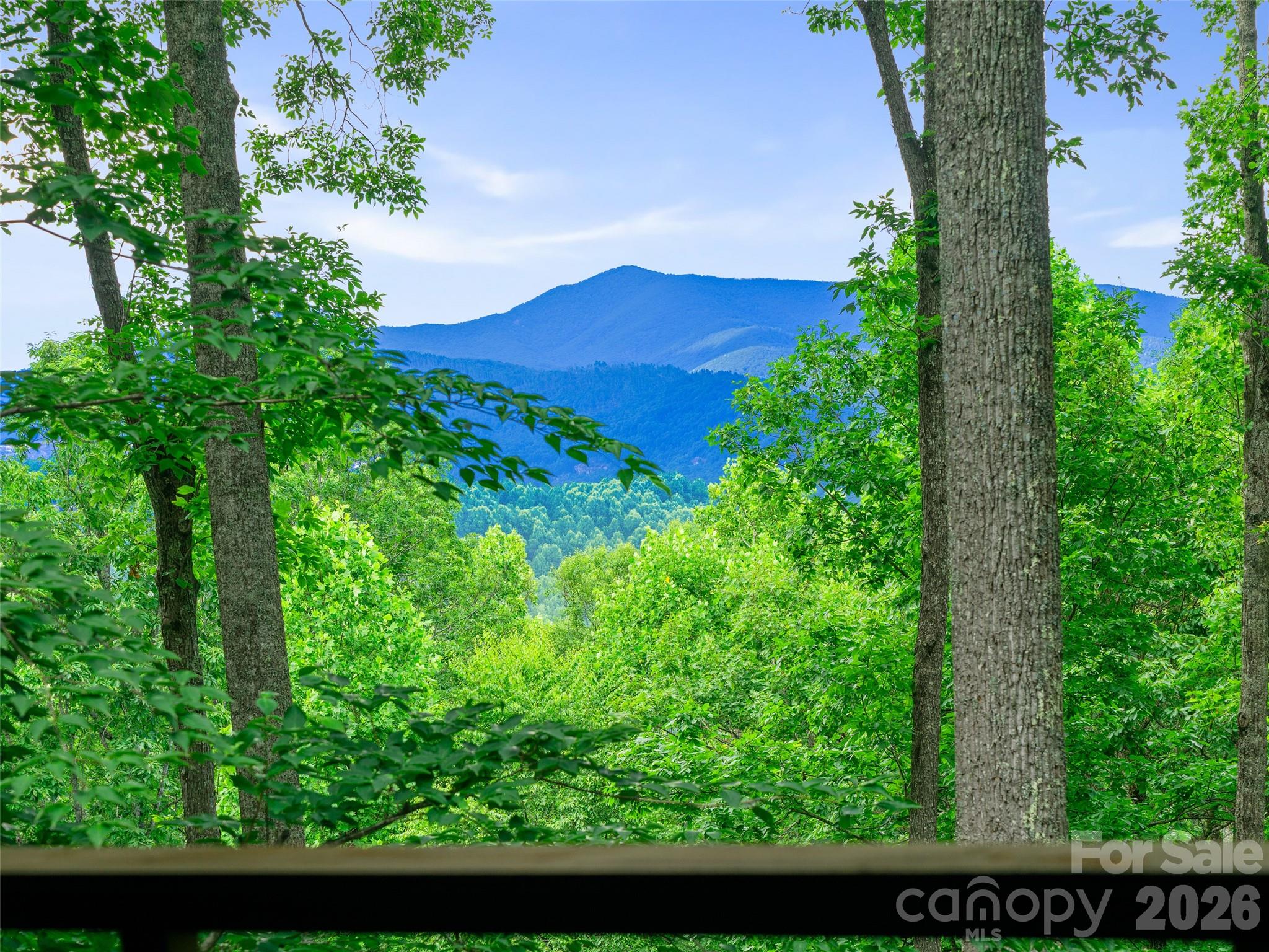 71 Chestnut Hill Road Spruce Pine NC 28777