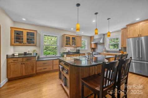 12 Rice Branch Road Asheville NC 28804