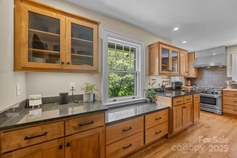 12 Rice Branch Road Asheville NC 28804