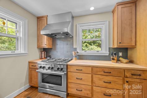 12 Rice Branch Road Asheville NC 28804