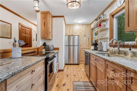 77 Bear Track Lane Saluda NC 28773