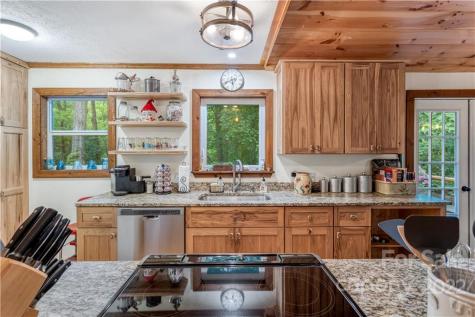 77 Bear Track Lane Saluda NC 28773