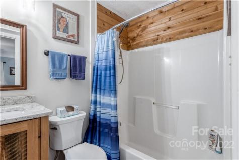 77 Bear Track Lane Saluda NC 28773