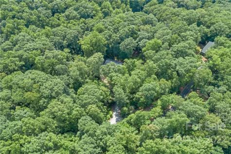 77 Bear Track Lane Saluda NC 28773
