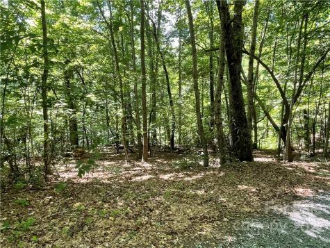 77 Bear Track Lane Saluda NC 28773