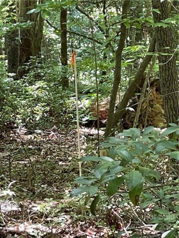 77 Bear Track Lane Saluda NC 28773