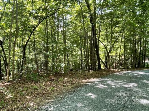 77 Bear Track Lane Saluda NC 28773