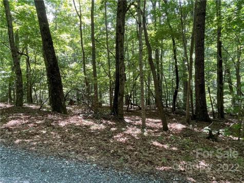 77 Bear Track Lane Saluda NC 28773