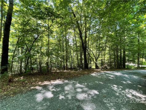 77 Bear Track Lane Saluda NC 28773