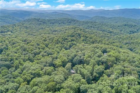 77 Bear Track Lane Saluda NC 28773