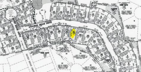 2933 Audubon Ridge Belmont NC 28012