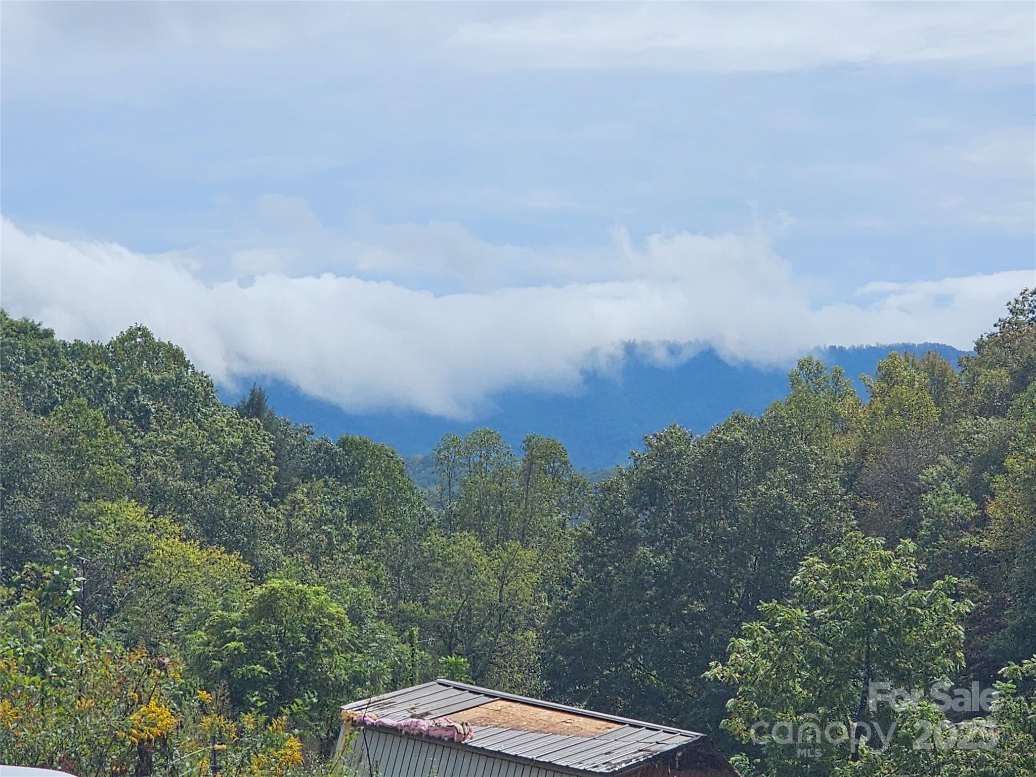 291 Mcginnis Road Old Fort NC 28762