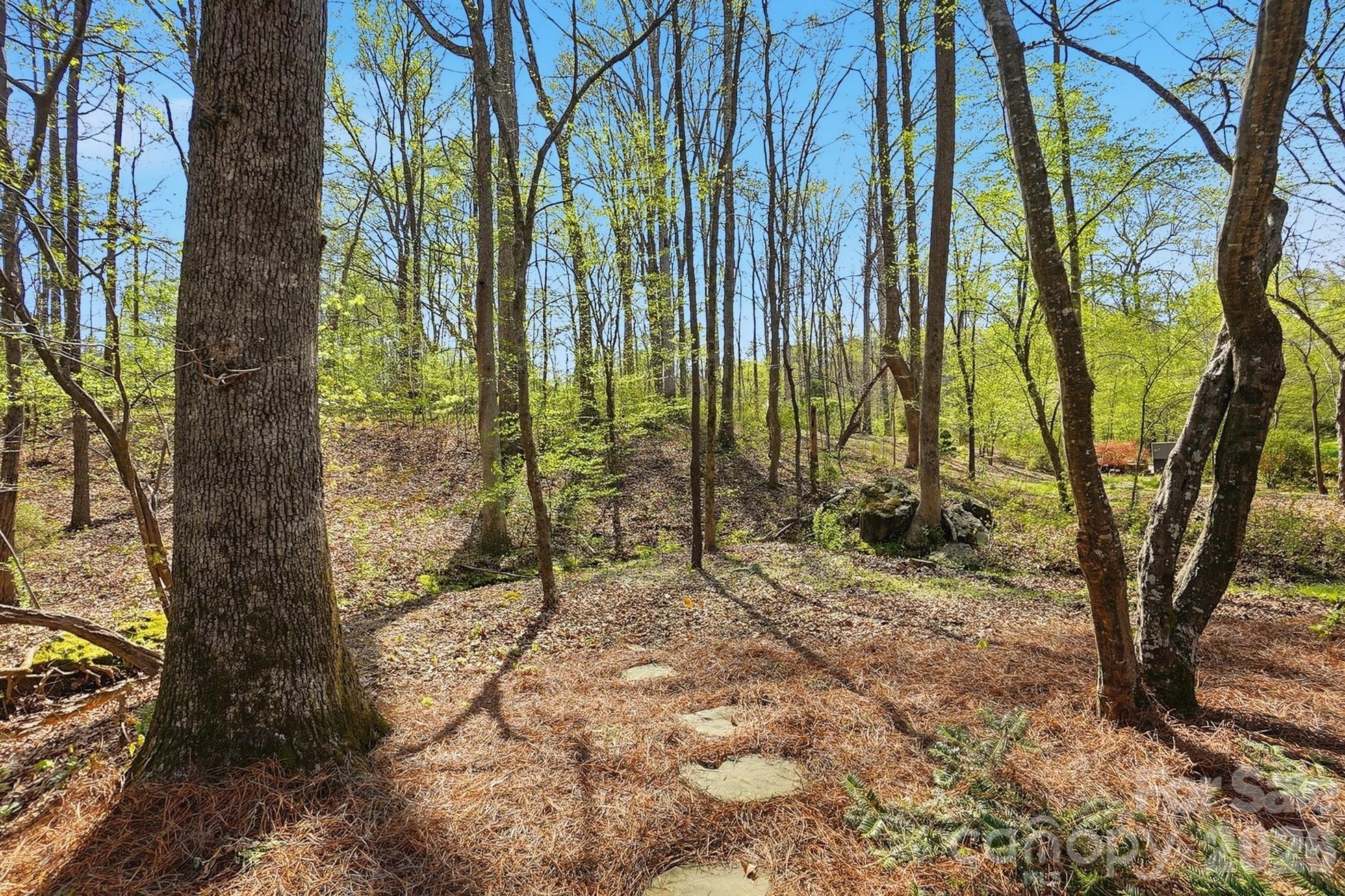 1134 Bromley Drive Weddington NC 28104