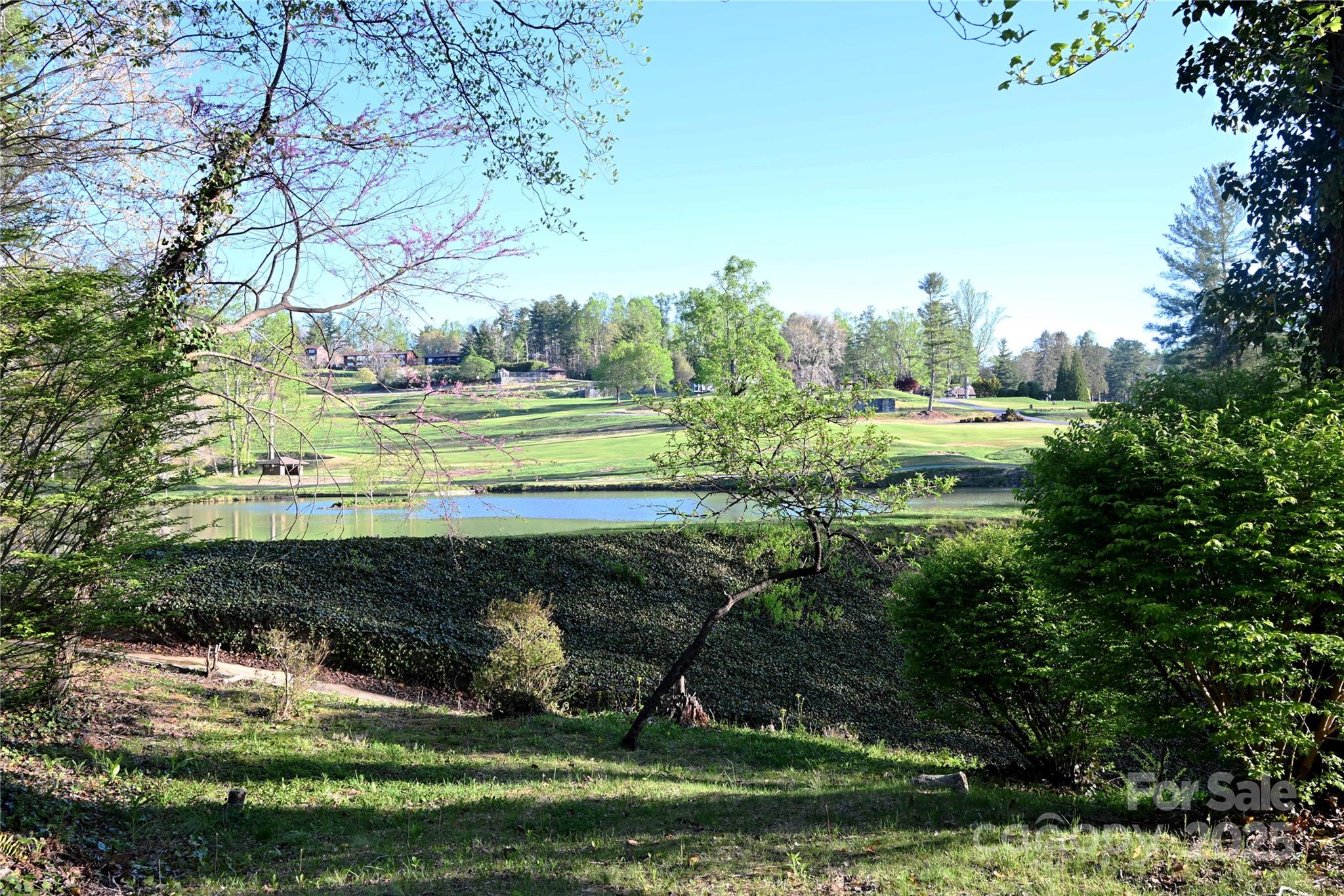 501 Fairway Drive Hendersonville NC 28739