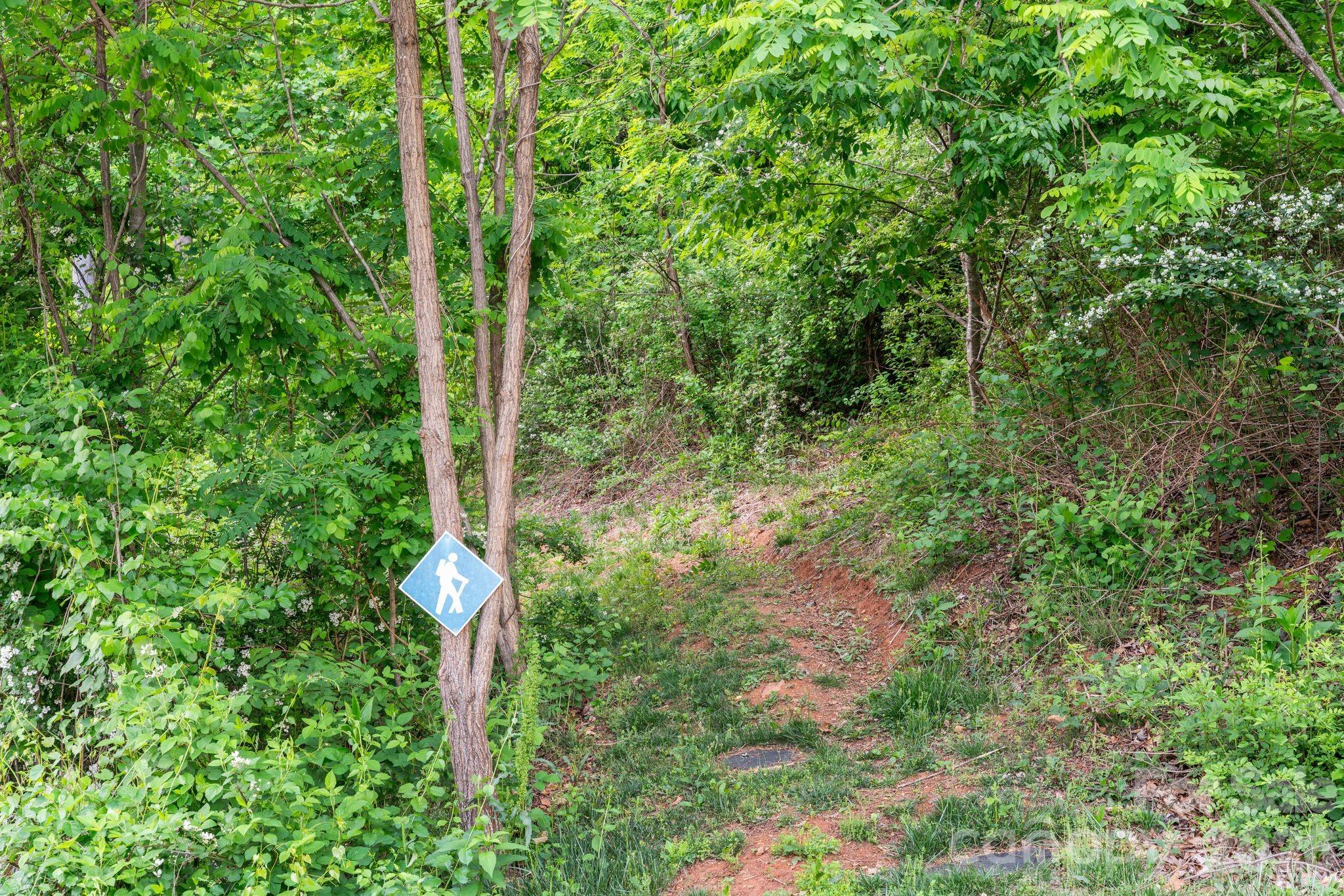 154 Wandering Oaks Way Asheville NC 28805