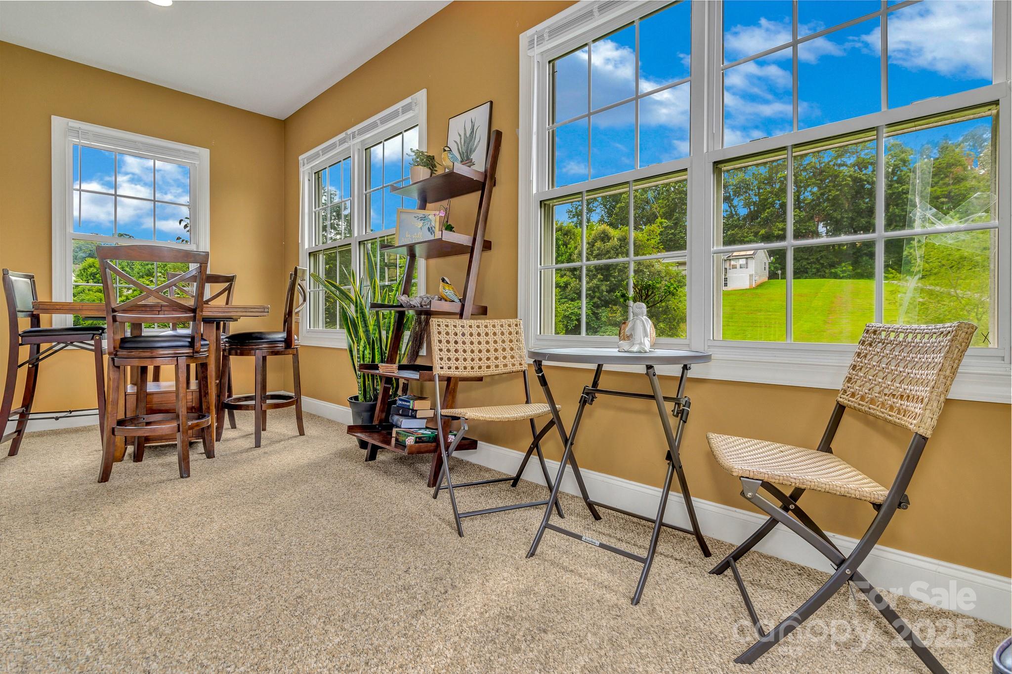 159 S Willow Brook Drive Asheville NC 28806