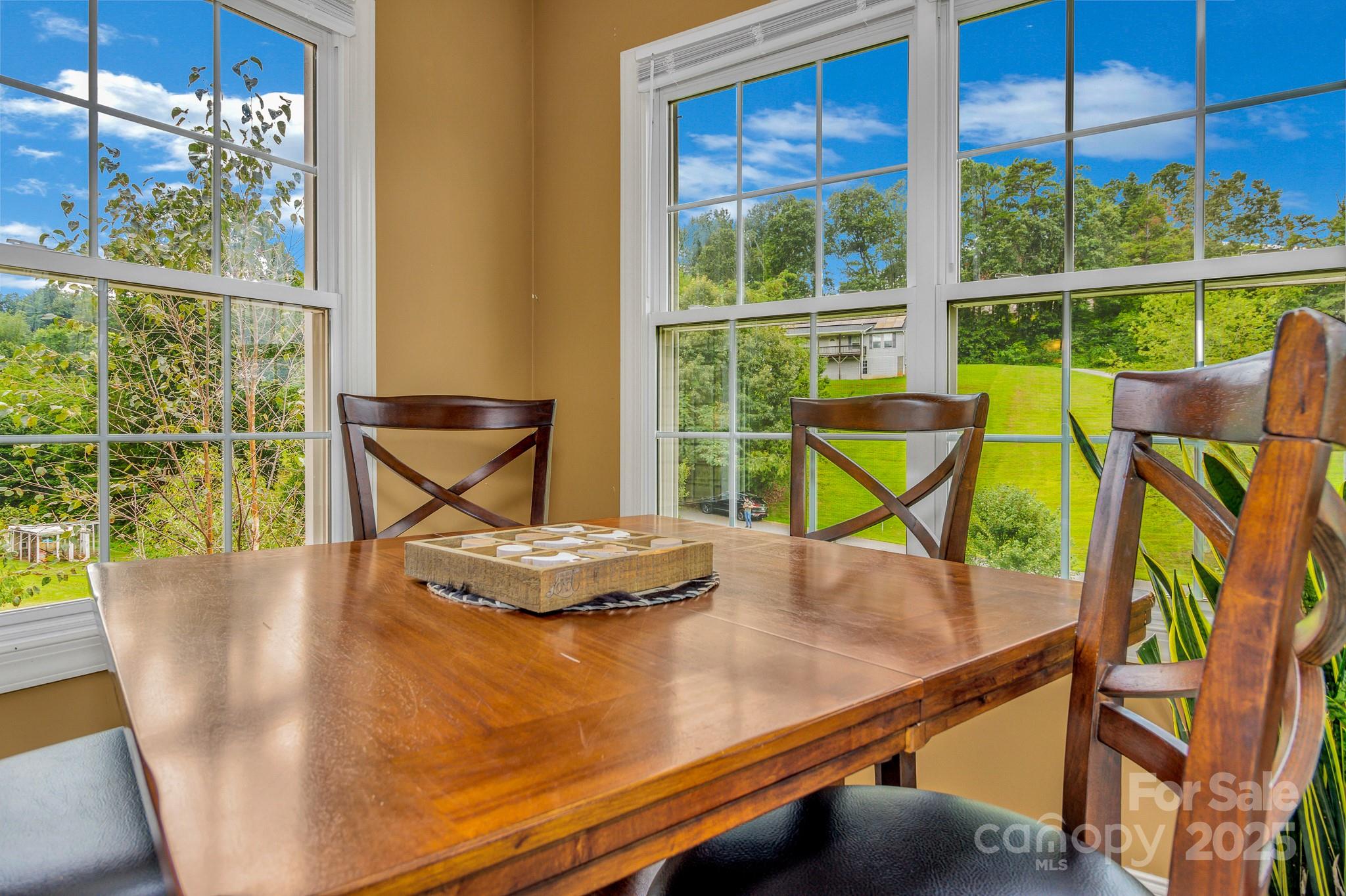 159 S Willow Brook Drive Asheville NC 28806