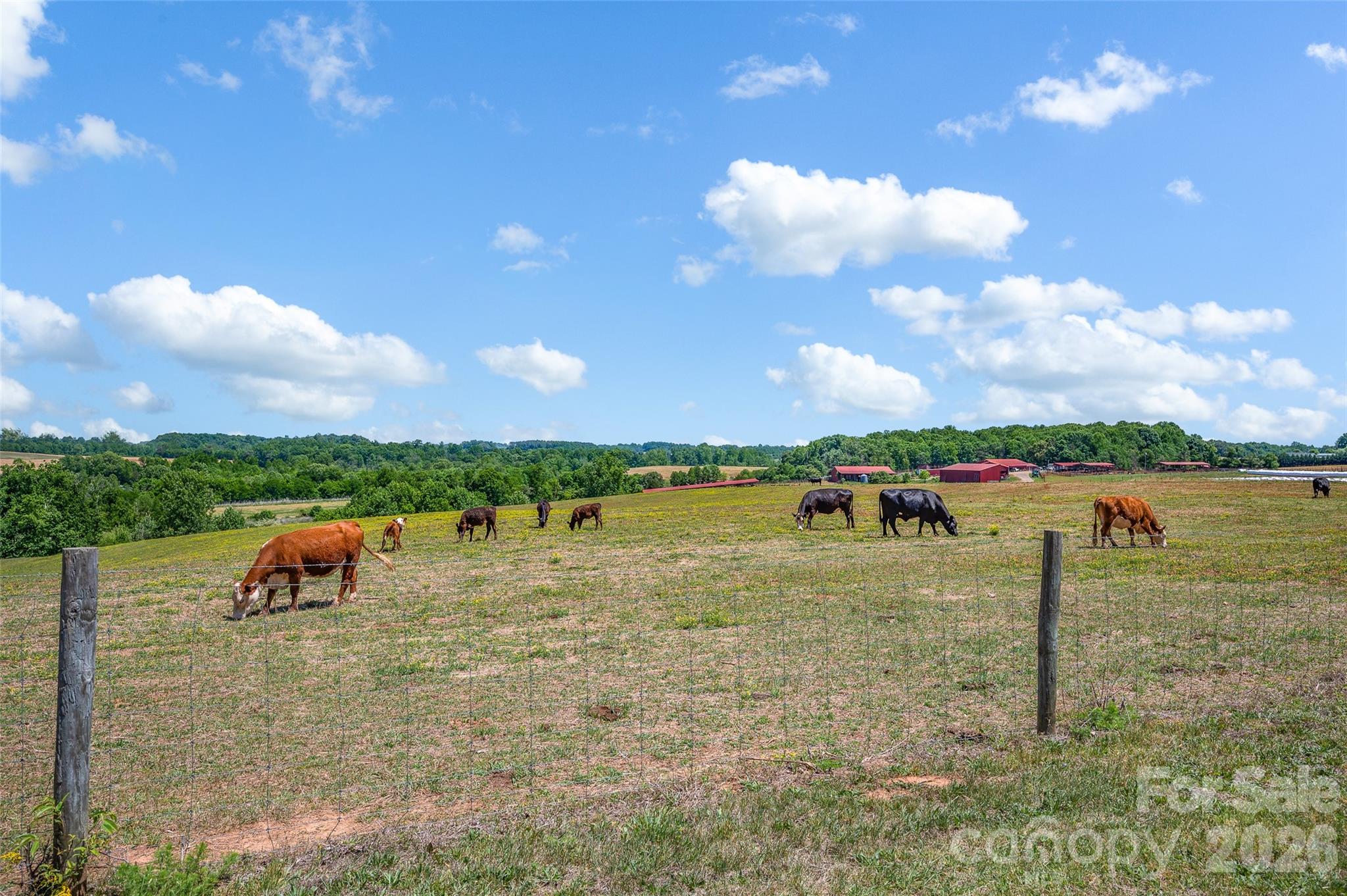 359 Rash Road Olin NC 28660