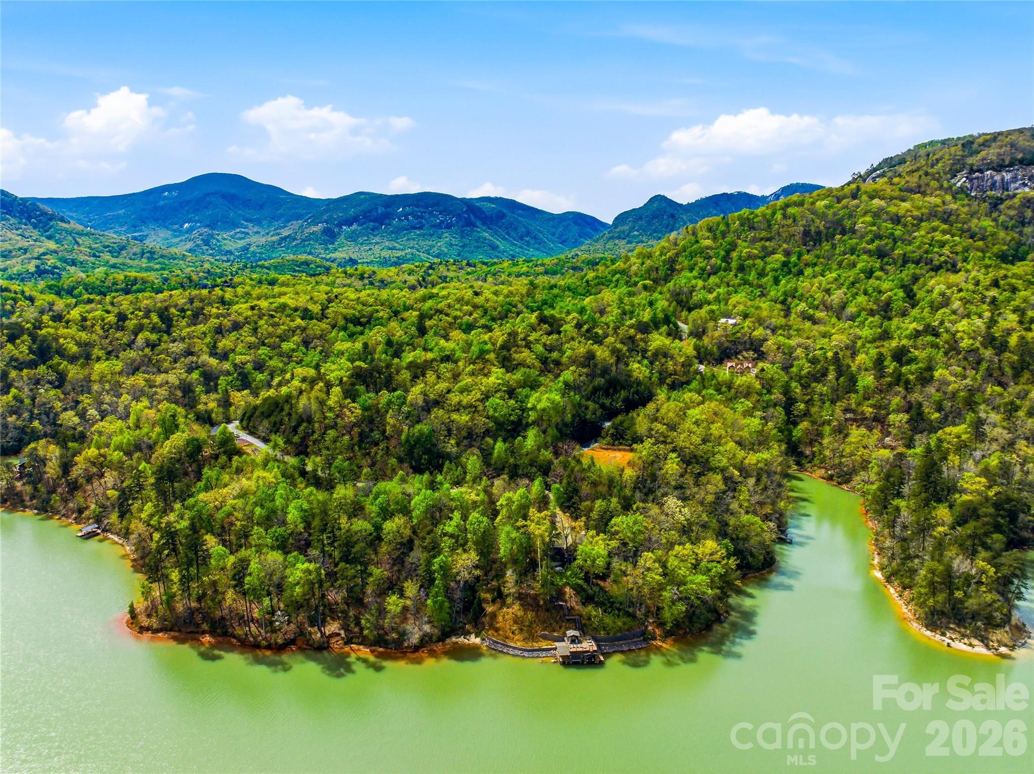 402 Holmstead Drive Lake Lure NC 28746
