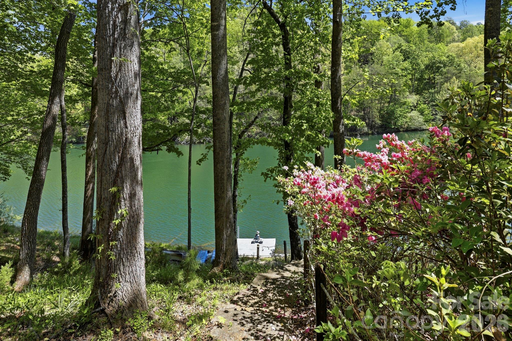 116 Teal Lane Lake Lure NC 28746