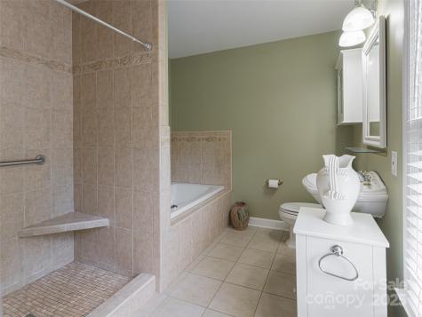 91 Carter Cove Road Asheville NC 28804