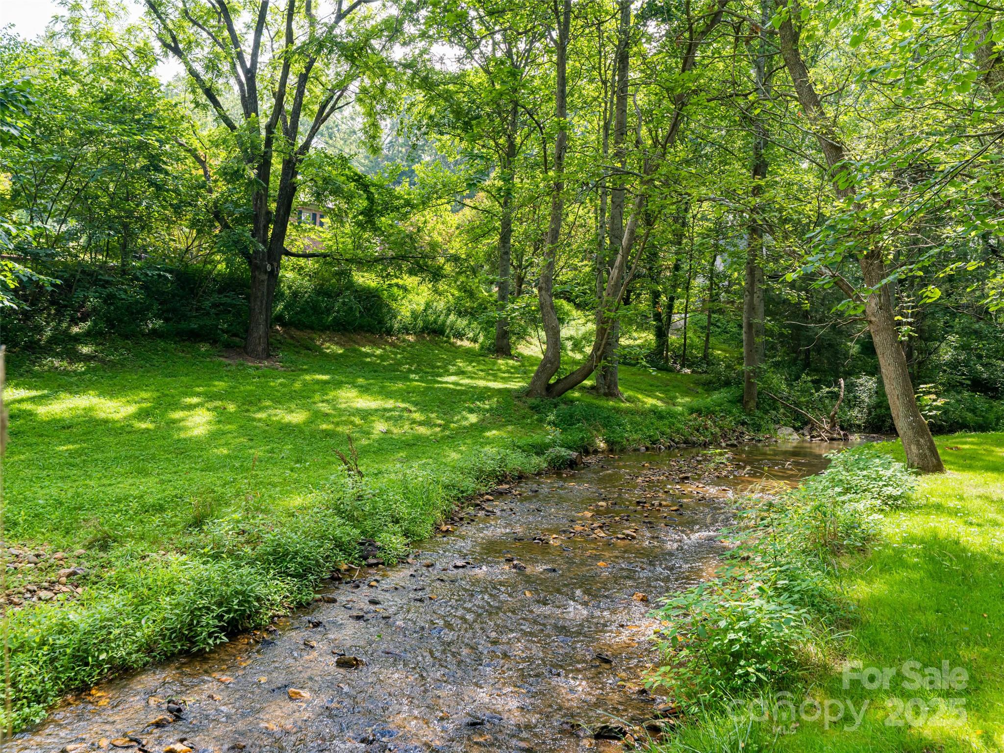 91 Carter Cove Road Asheville NC 28804