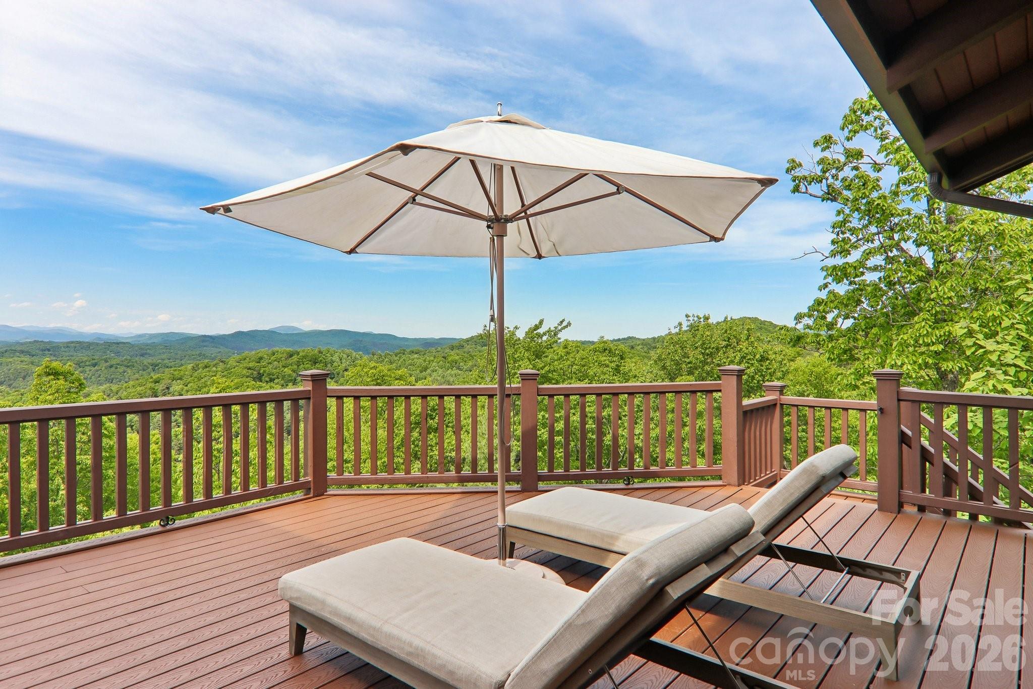 1072 Corsica Lane Saluda NC 28773