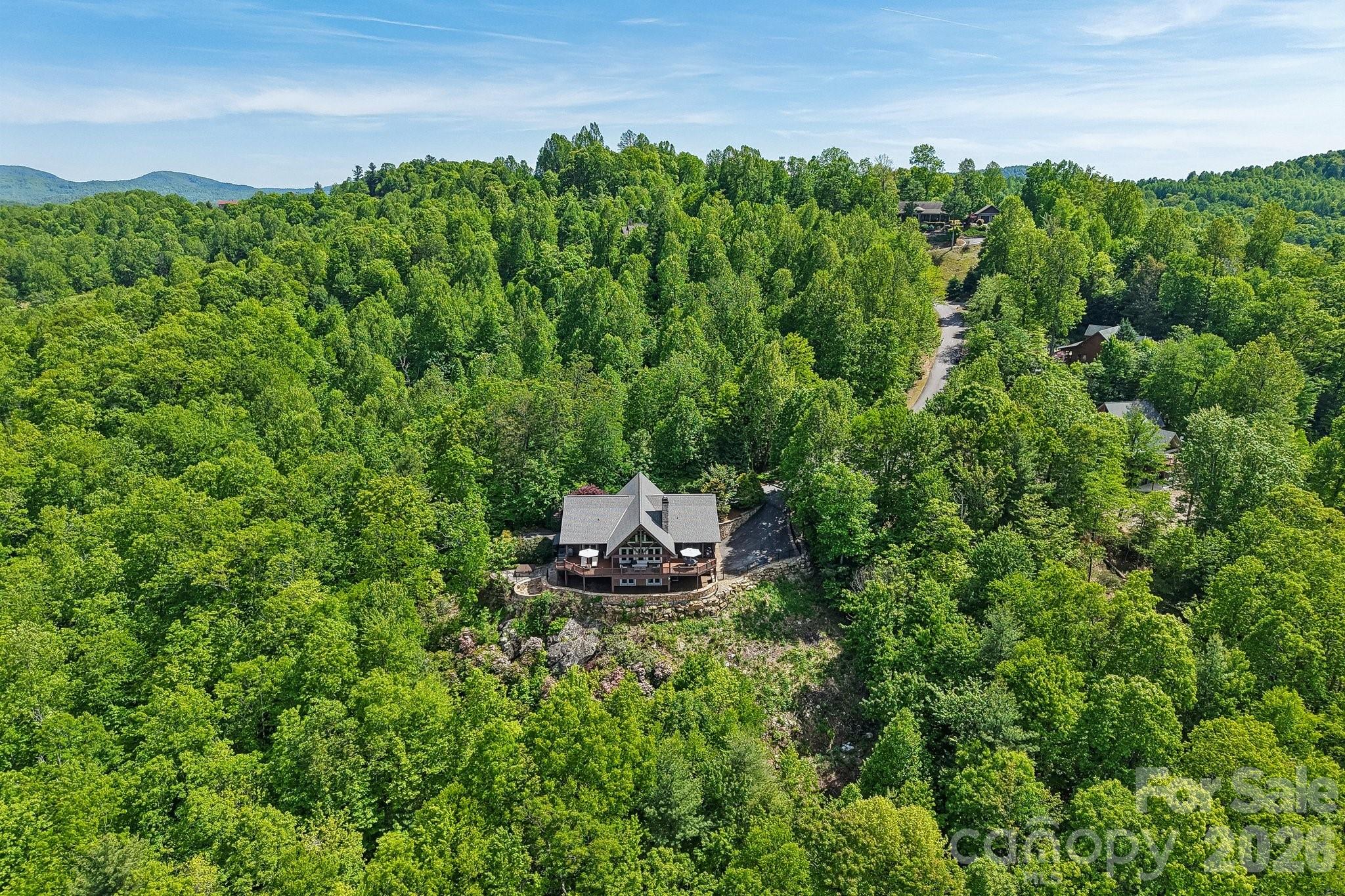 1072 Corsica Lane Saluda NC 28773