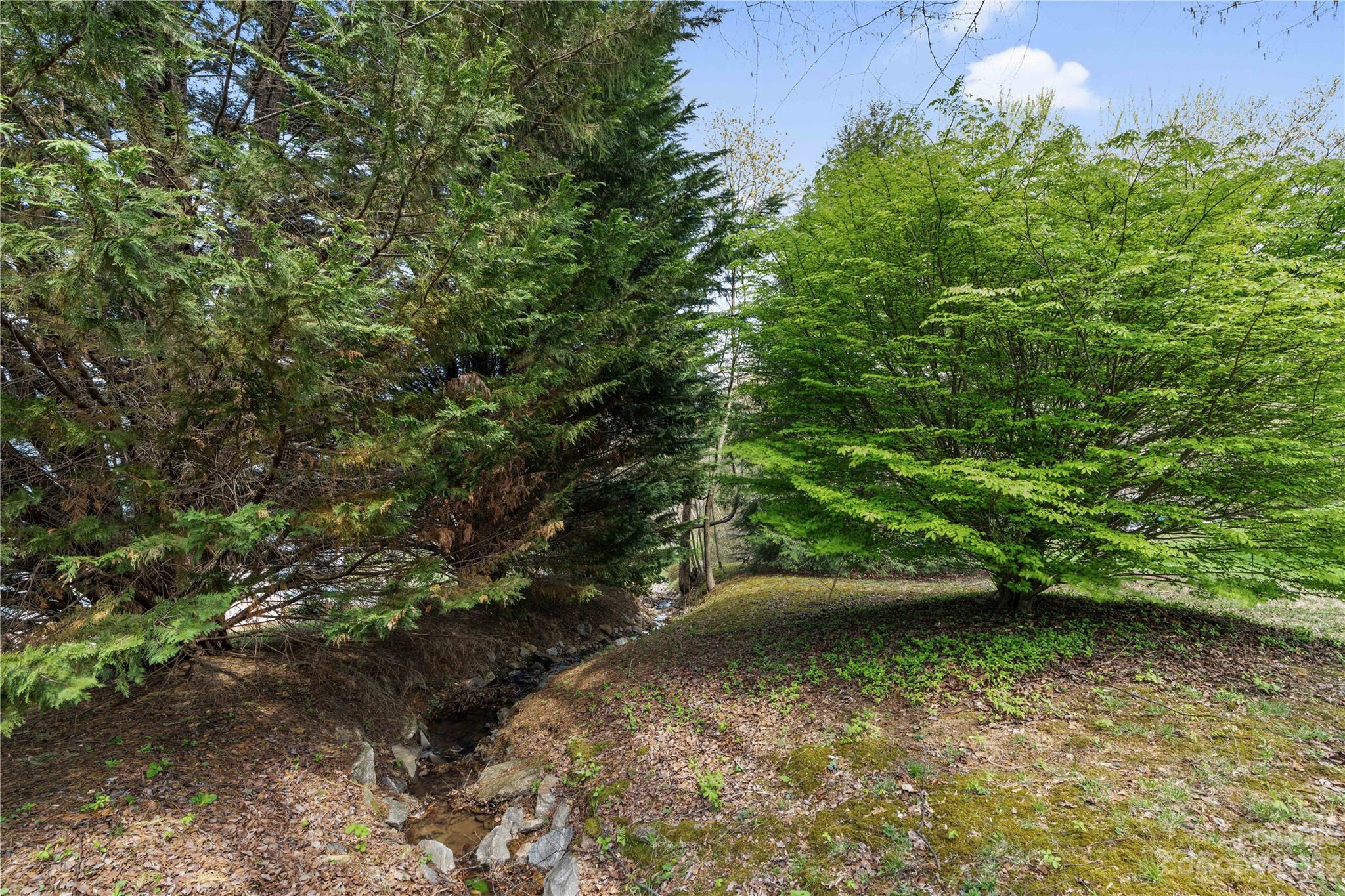 137 Reynolds School Road Asheville NC 28803