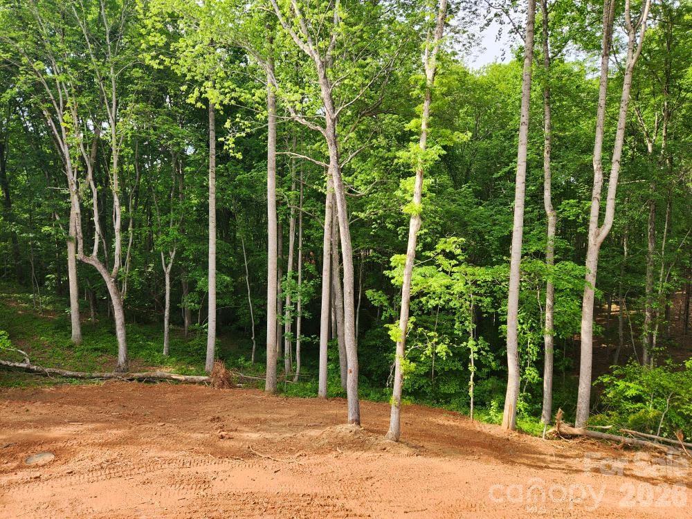 5117 Grassy Creek Road Denver NC 28037
