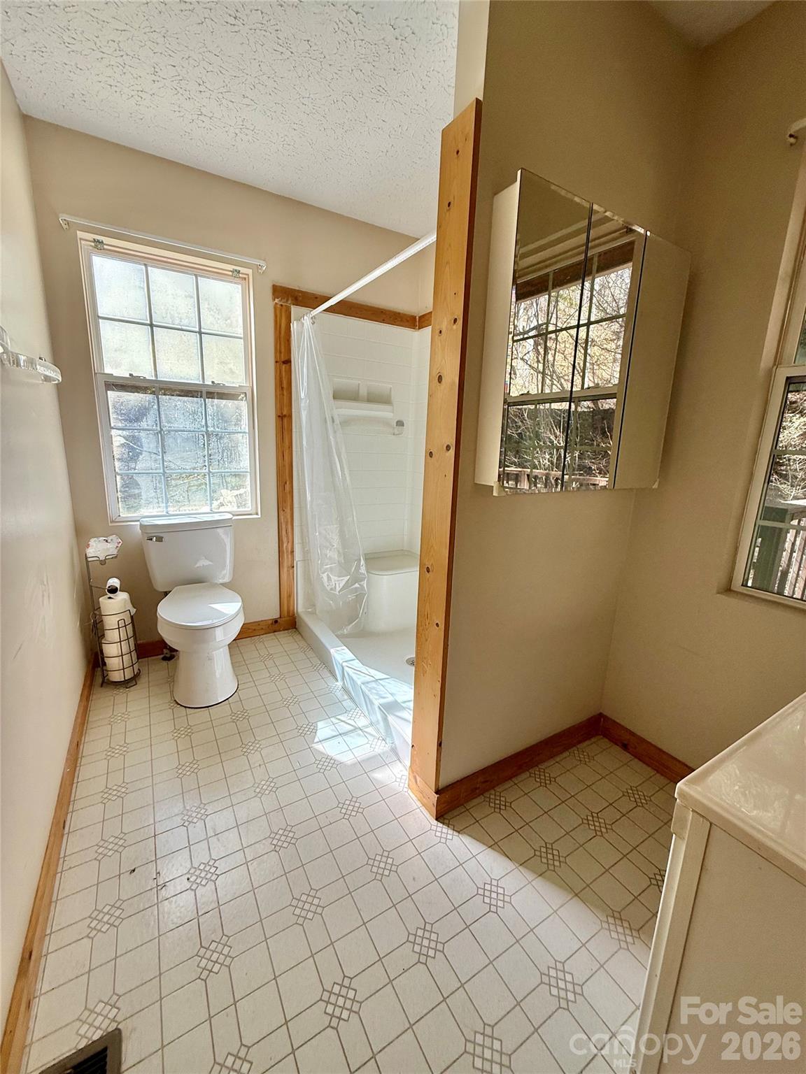 215 Pinellas Lane Waynesville NC 28785