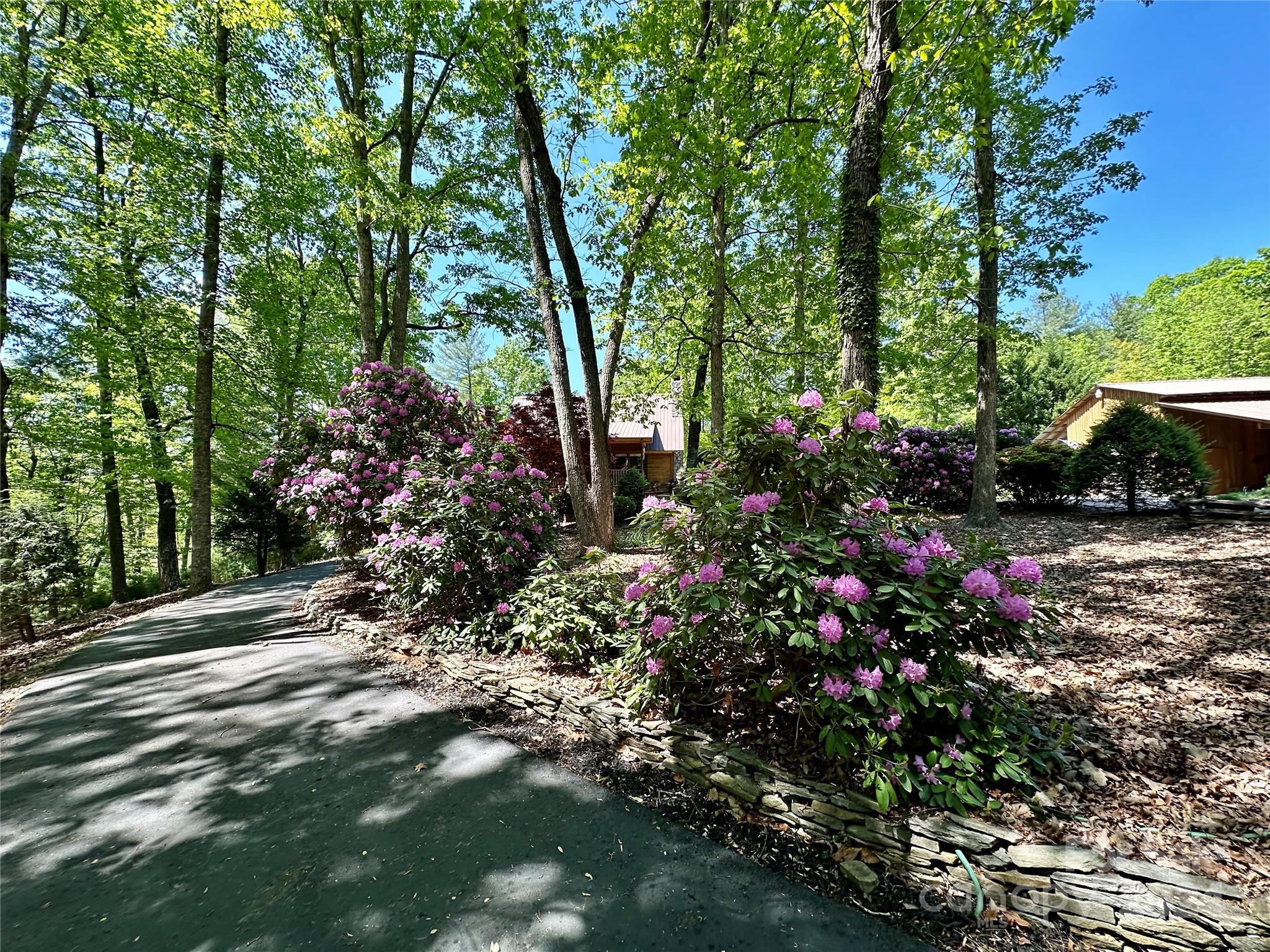 Greybeard Realty North Carolina - 0jxxwav