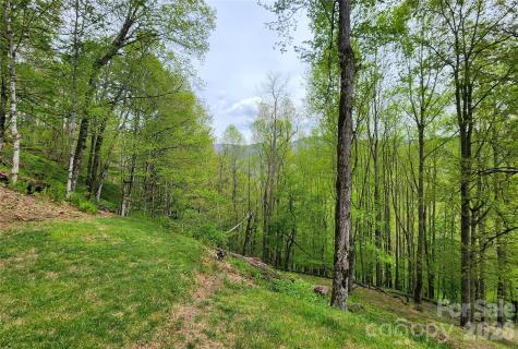 604 Croft View Drive Bakersville NC 28705