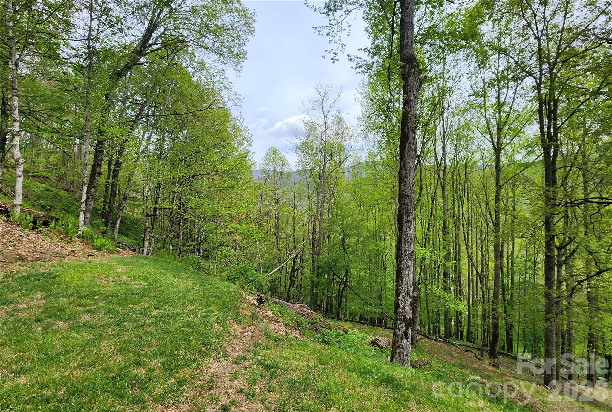 604 Croft View Drive Bakersville NC 28705
