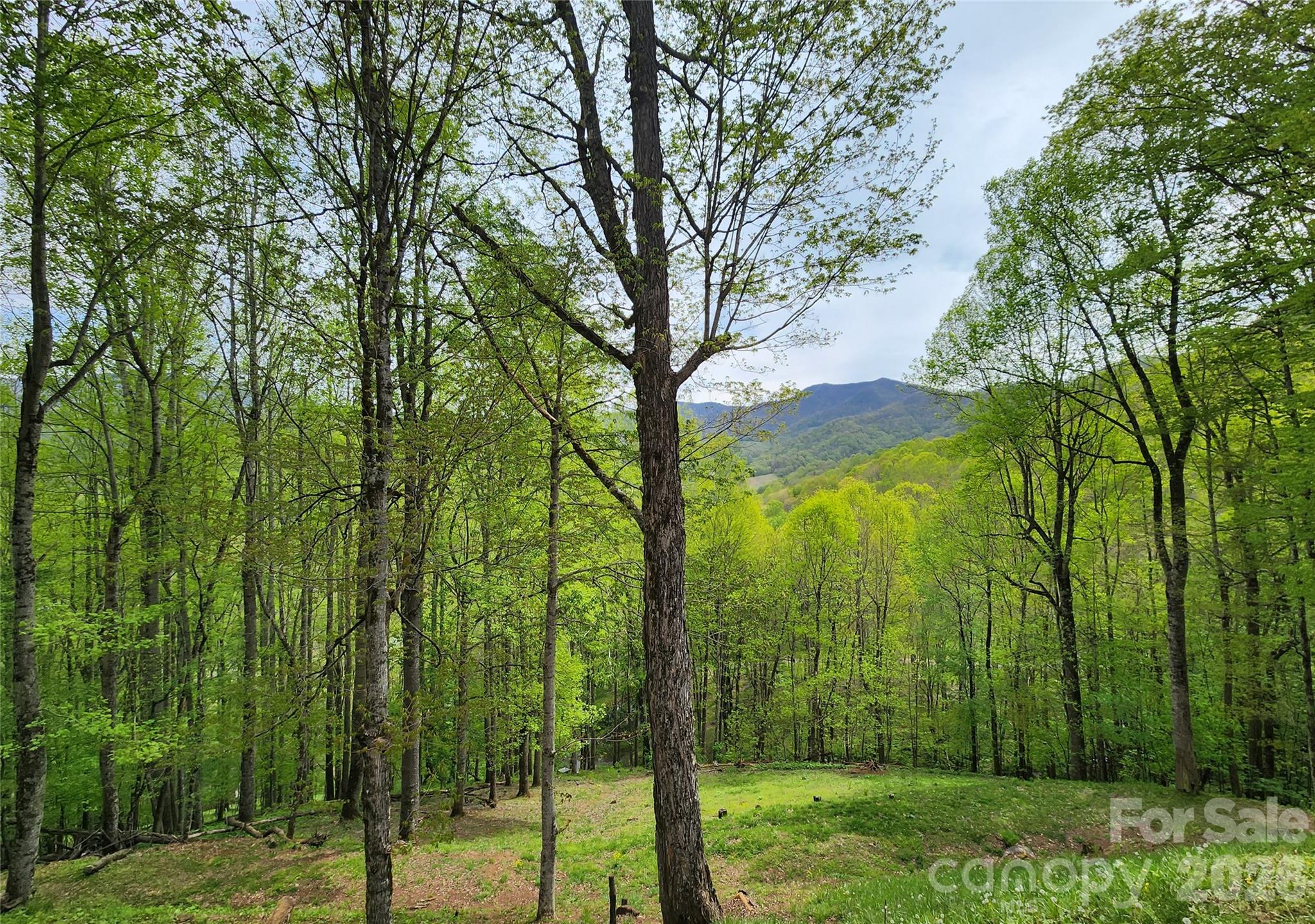 604 Croft View Drive Bakersville NC 28705
