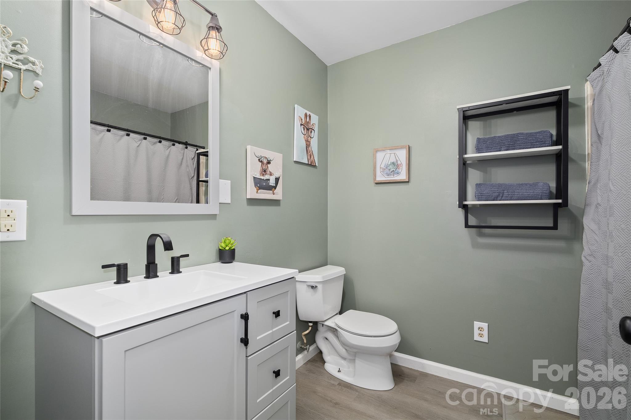 84 Chisholm Street Saluda NC 28773