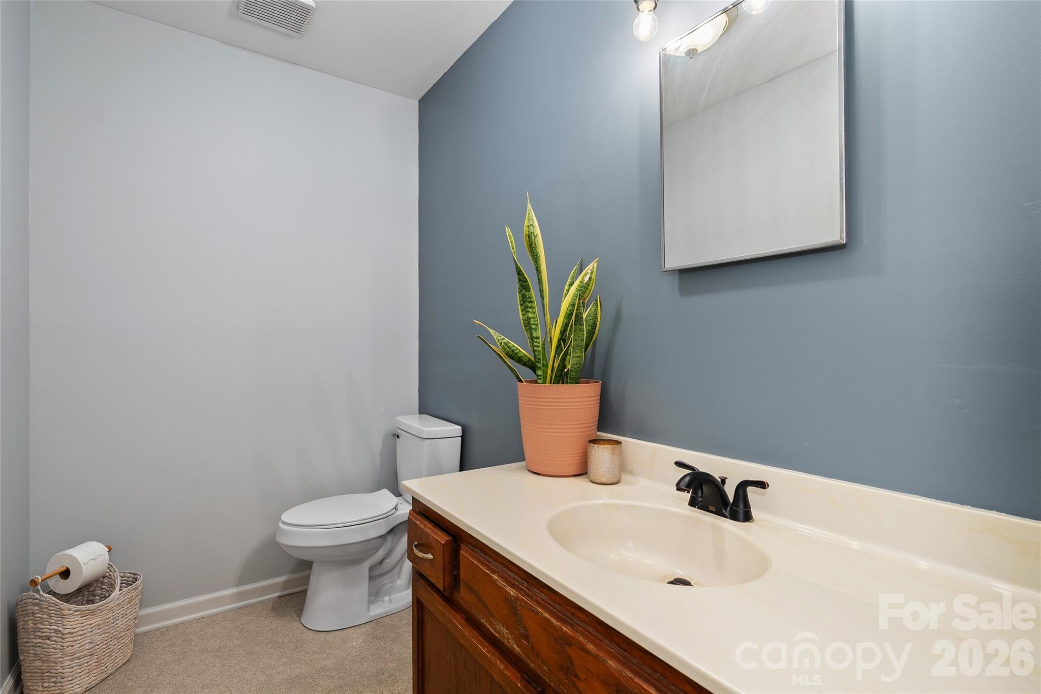 84 Chisholm Street Saluda NC 28773