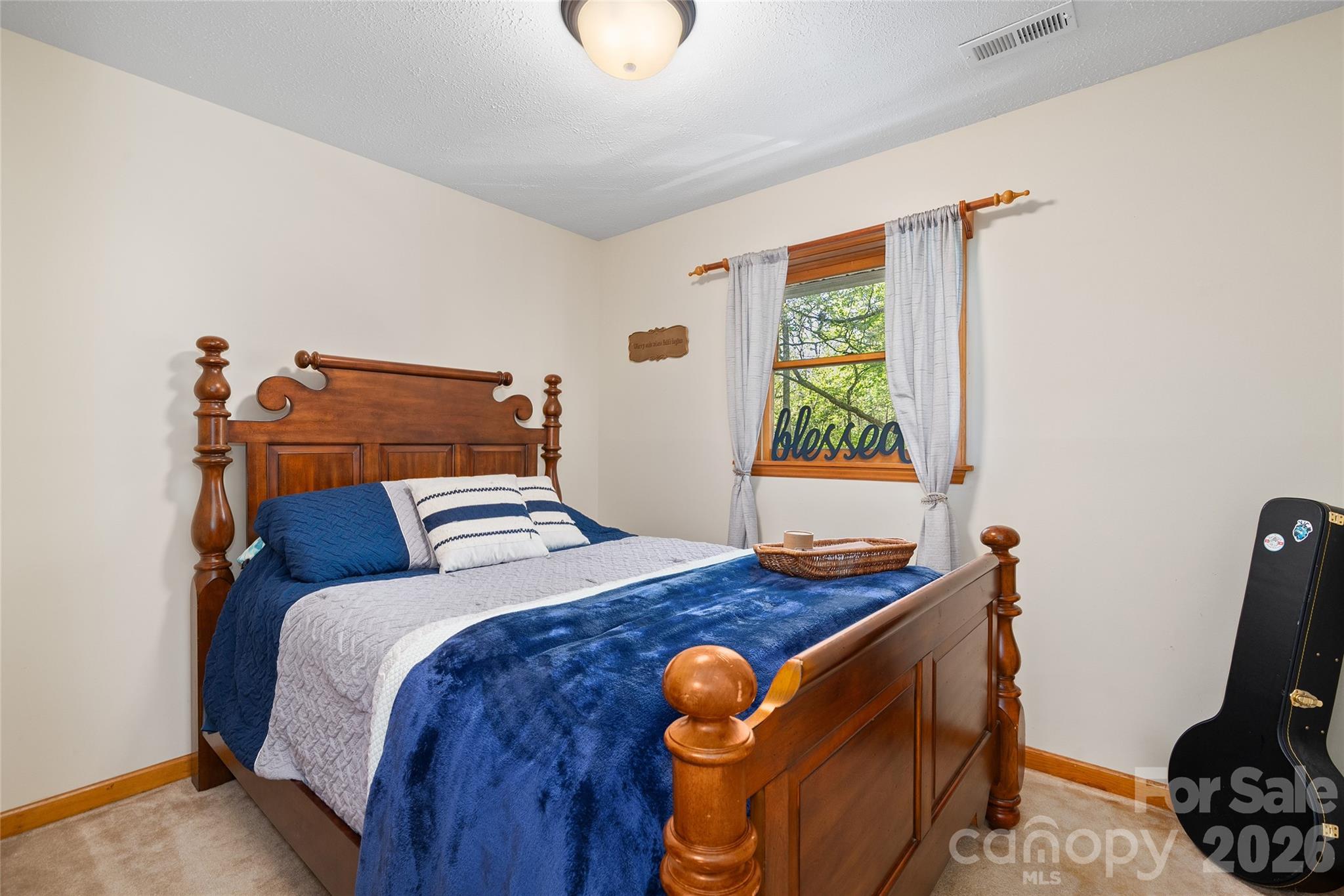 84 Chisholm Street Saluda NC 28773