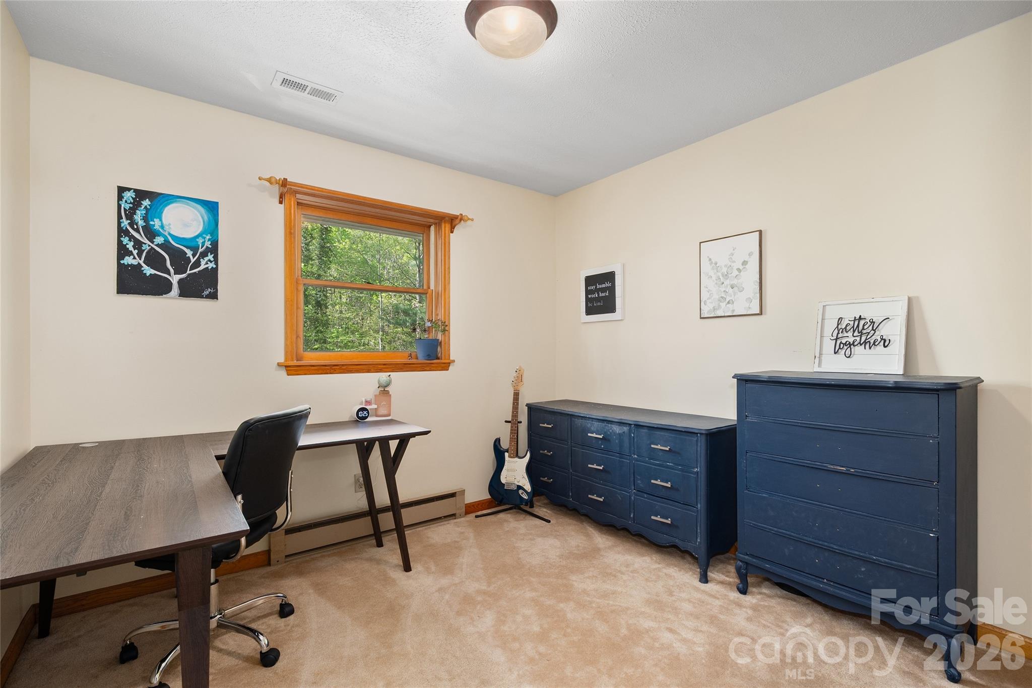 84 Chisholm Street Saluda NC 28773