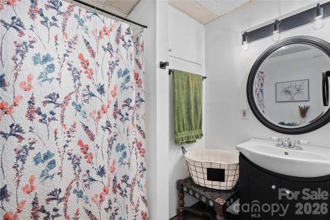 84 Chisholm Street Saluda NC 28773