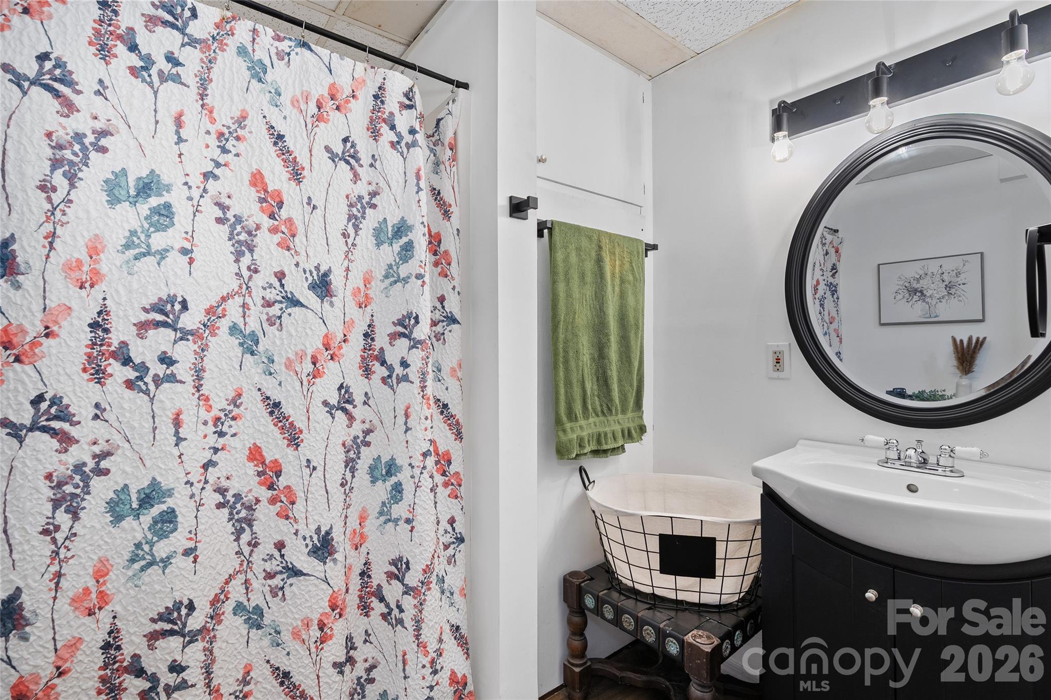 84 Chisholm Street Saluda NC 28773